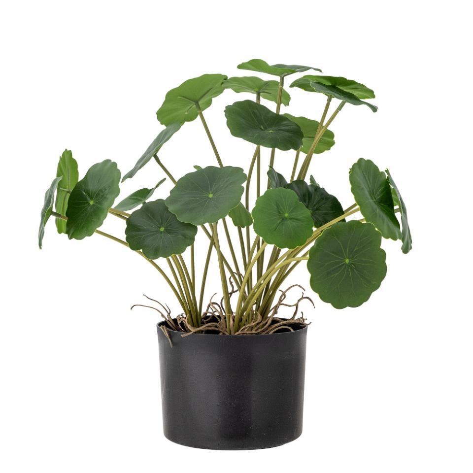 Kunstpflanze Cooper, Green, Artificial Flowers von Bloomingville