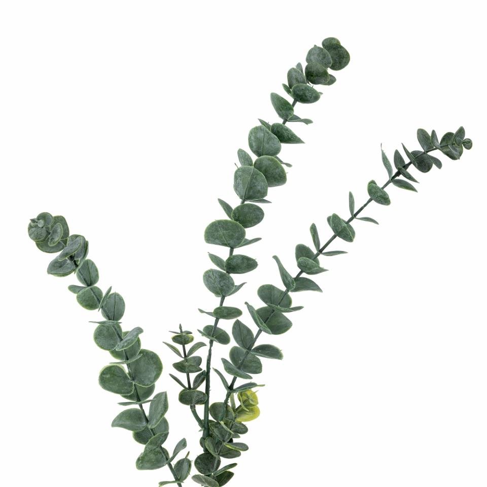 Kunstpflanze Eucalyptus Stem, Green, Artificial Flowers von Bloomingville