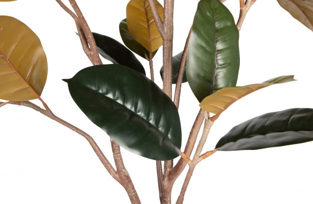 Kunstbaum Rubber 170cm von Woood