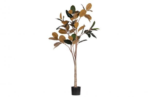 Kunstbaum Rubber 170cm von Woood