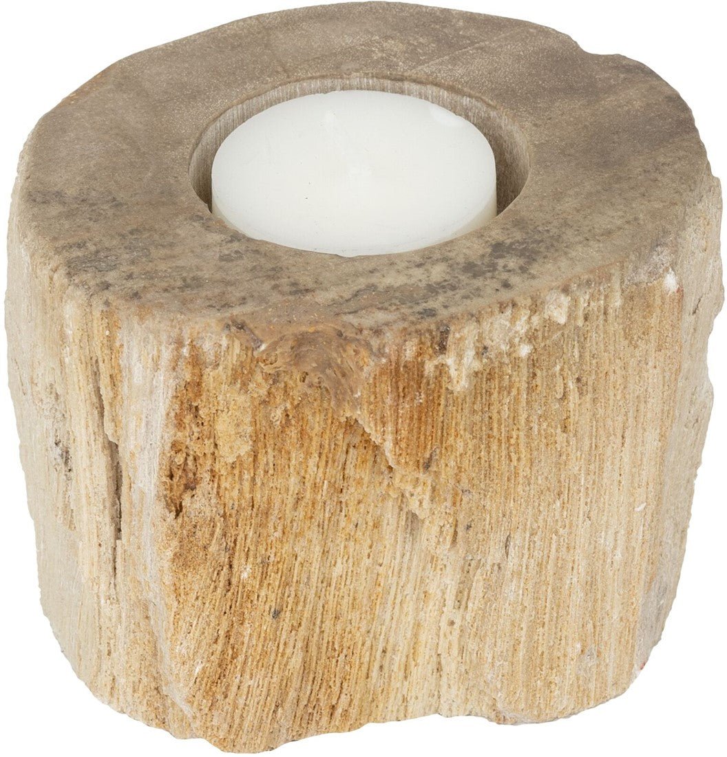 Kerzenhalter Fossil von MUST Living