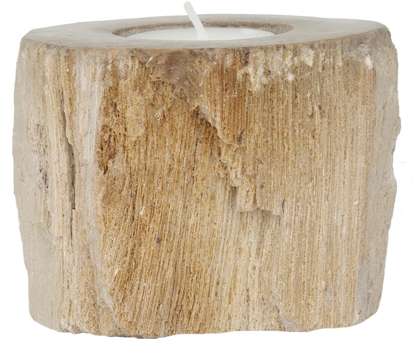 Kerzenhalter Fossil von MUST Living