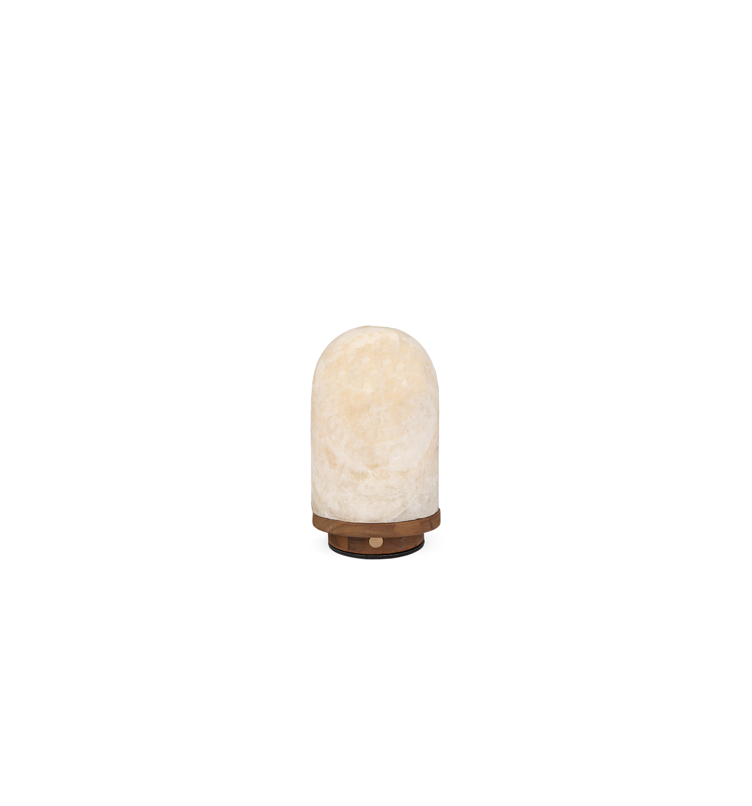 Onyx Bullet Light LED
