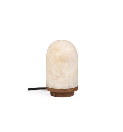 Onyx Bullet Light