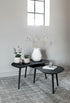 DTP Home Highlight salontafel Organus