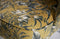 Esszimmerstuhl Vogue Poppy Senf-BePureHome-My Dutch Living Room GmbH
