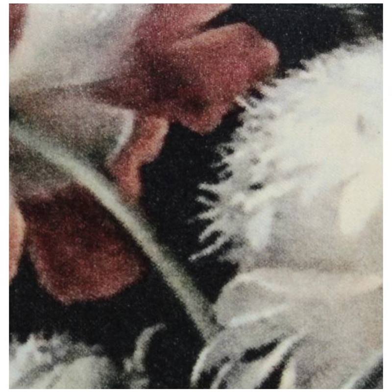 Kissen Blumen-My Dutch Living Room-My Dutch Living Room GmbH